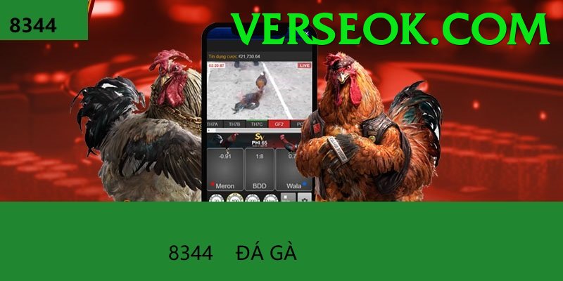 Đá Gà Trực Tiếp - verse - Leaderboard