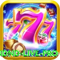 ndnd Live Pro